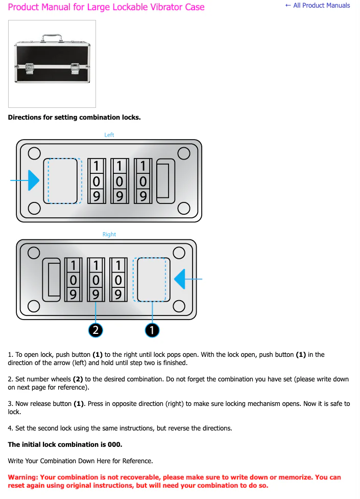 The Large Toy Chest - Lockable Vibrator Case - Image 6